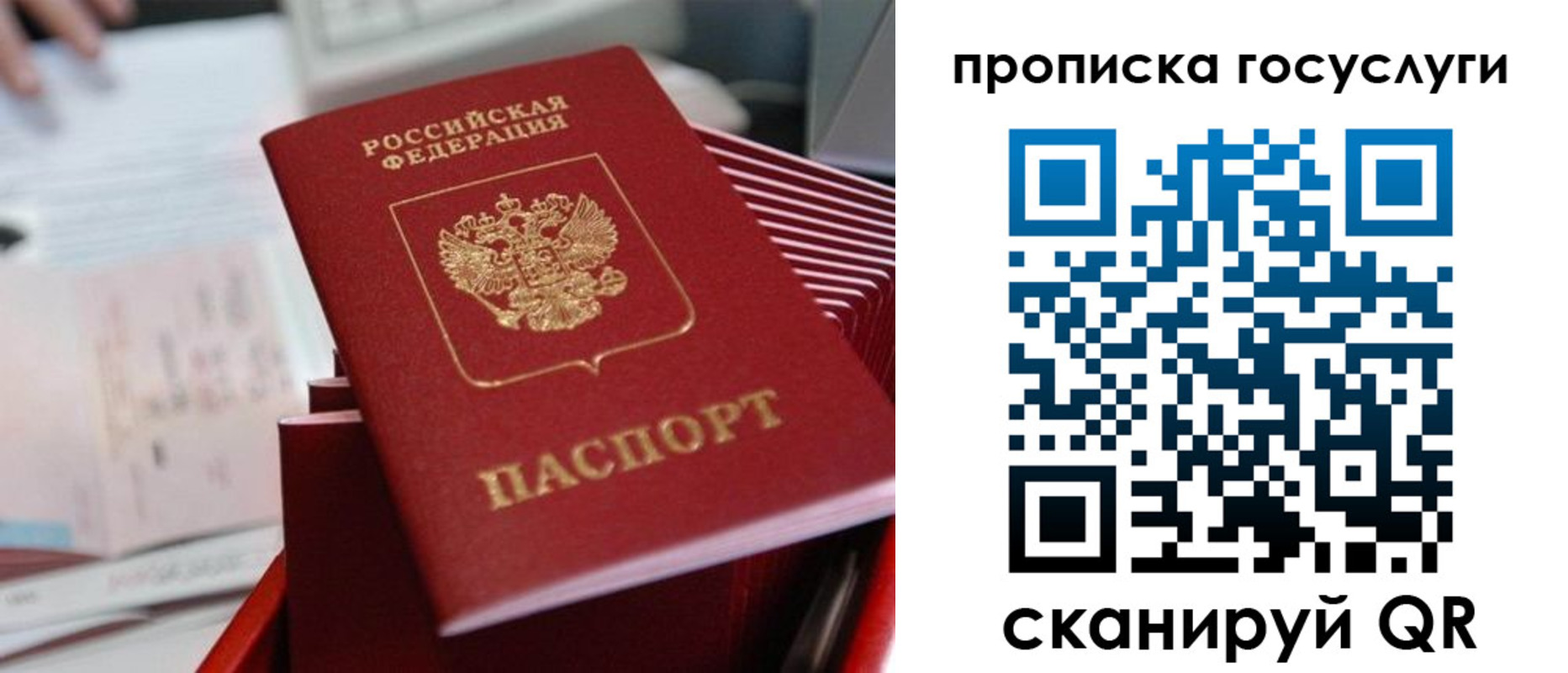 прописка законно в Полярных Зорях